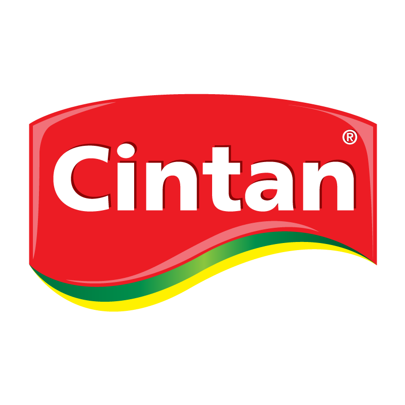 Cintan Logo PNG Vector